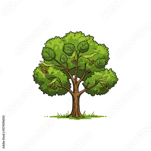 Colorful Linden Tree Icon No White Background