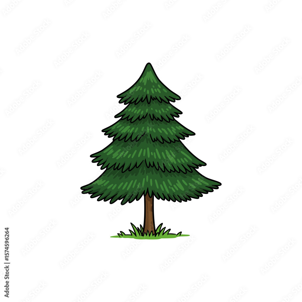Obraz premium Colorful Icon of Pindrow Fir Tree with No White