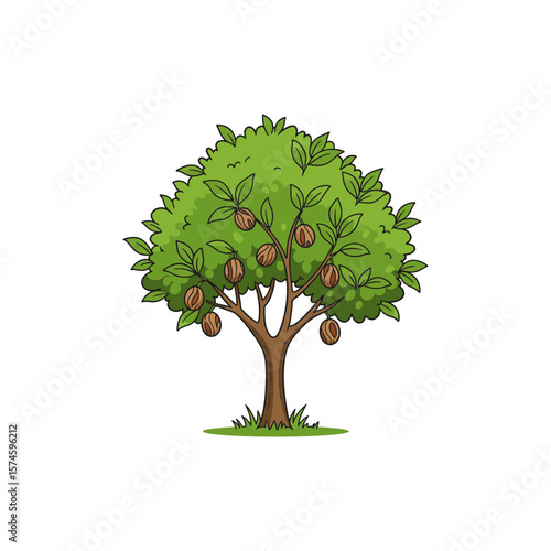 Colorful Nutmeg Tree Icon No White Background