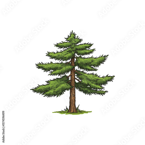 Colorful Icon of Ponderosa Pine Tree with No White