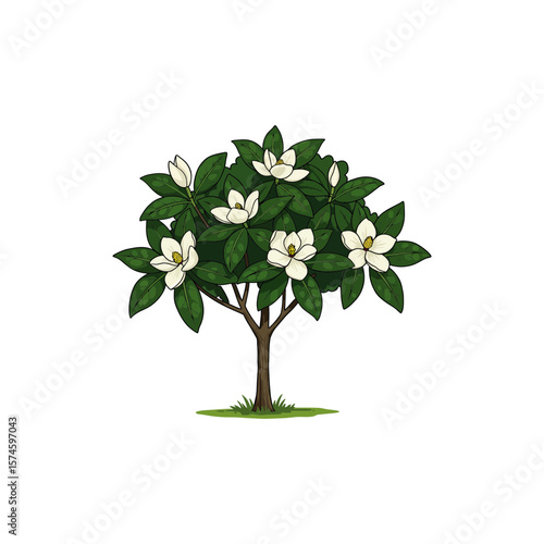 Colorful Icon of Southern Magnolia Tree with No White