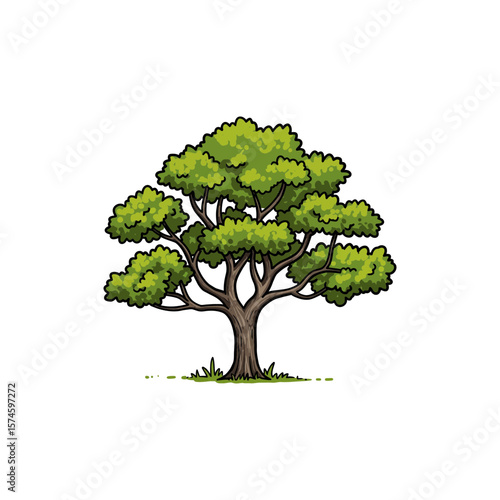 Colorful Icon of Texas Live Oak Tree with Twisted Branches and No White Areas