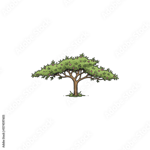 Colorful Icon of Wild Tamarix Tree with Feathery Leaves and No White Fill