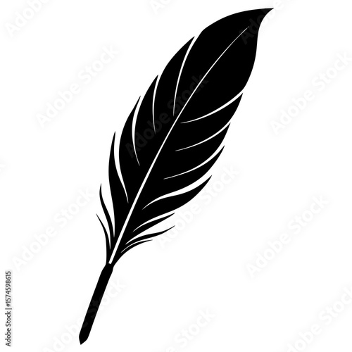 feather 