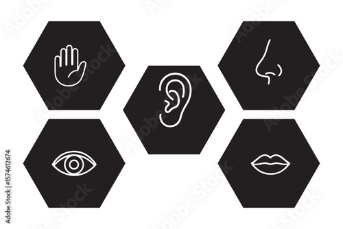 Human senses icon set. Vision eye, smell nose, hearing ear, touch hand, taste mouth with tongue. set of human five senses icon.