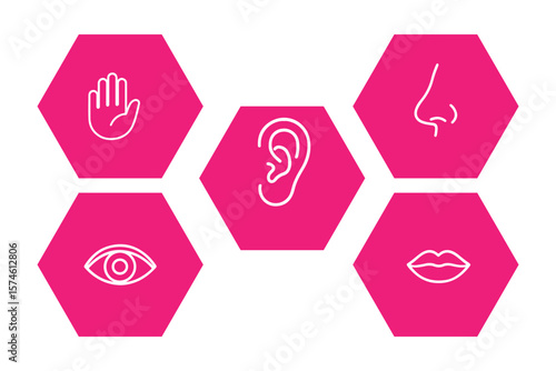 Human senses icon set. Vision eye, smell nose, hearing ear, touch hand, taste mouth with tongue. set of human five senses icon.