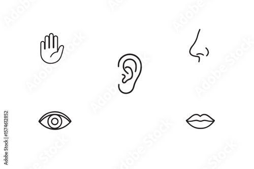 Human senses icon set. Vision eye, smell nose, hearing ear, touch hand, taste mouth with tongue. set of human five senses icon.
