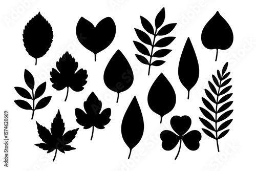 Collection of various leaf silhouettes displayed in a creative arrangement for design and illustrative purposes