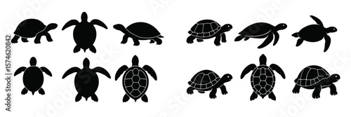 Various silhouettes of turtles and tortoises displayed on a white background