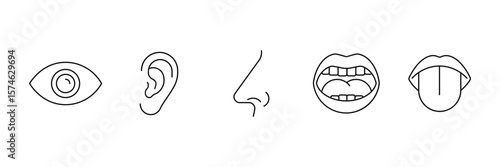 Human sense organs outline icons set ear eye nose tongue mouth face vector illustration collection bundle pack design isolated.