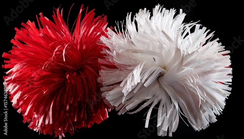 red and white cheerleading pom pom on black background cut out