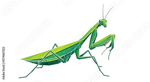 Praying Mantis Illustration, Nature Scene, Digital Art, Vibrant Environment, Close-Up View, Insect Concept