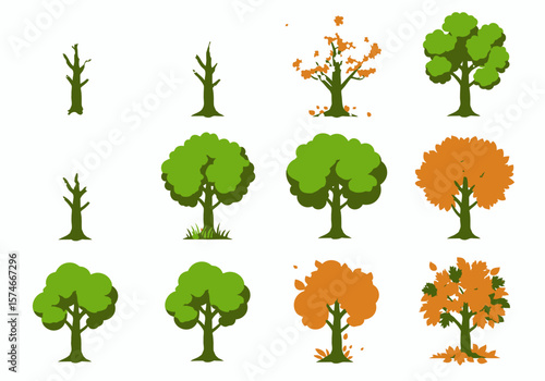 Tree Growth Stages Bare Branches to Full Green and Autumnal Foliage.