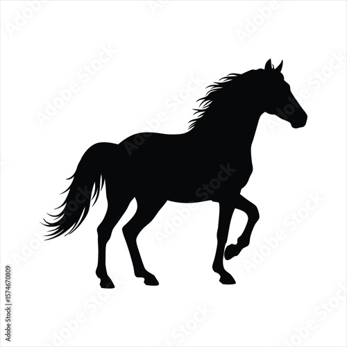 Black Horse Silhouette Isolated White Background