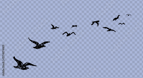 Flying doodle drawn birds with wax crayon. Charcoal style pastel sketch for children, school or kindergarten blackboard and chalkboard squiggle art. Vector grunge texture.