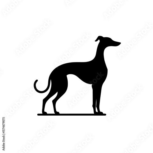 Italian Greyhound Silhouette , Italian Greyhound vector
