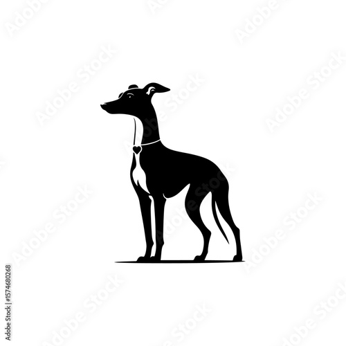 Italian Greyhound Silhouette , Italian Greyhound vector