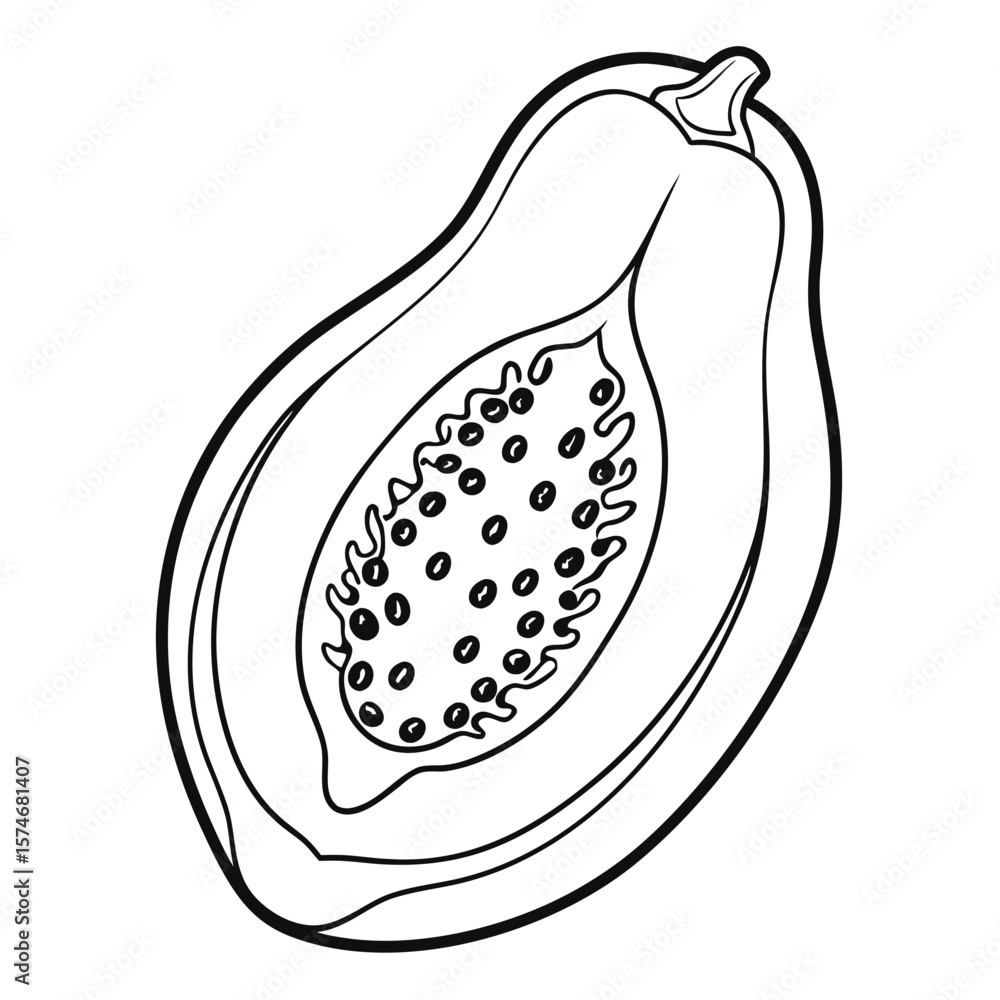 Fototapeta premium papaya fruit outline vector on white background