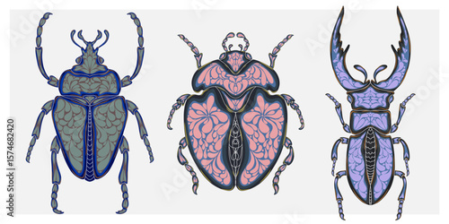 Stylized decorative illustration of a beetle with intricate Art Nouveau patterns inspired by nature.