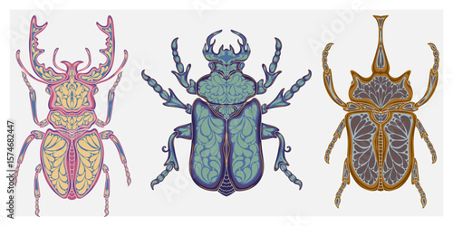 Stylized decorative illustration of a beetle with intricate Art Nouveau patterns inspired by nature.