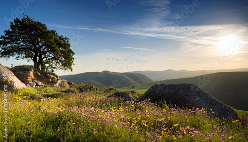 Wallpaper Mural a serene landscape with a rocky outcrop and wildflowers under the shade of a tree against distant hills Torontodigital.ca