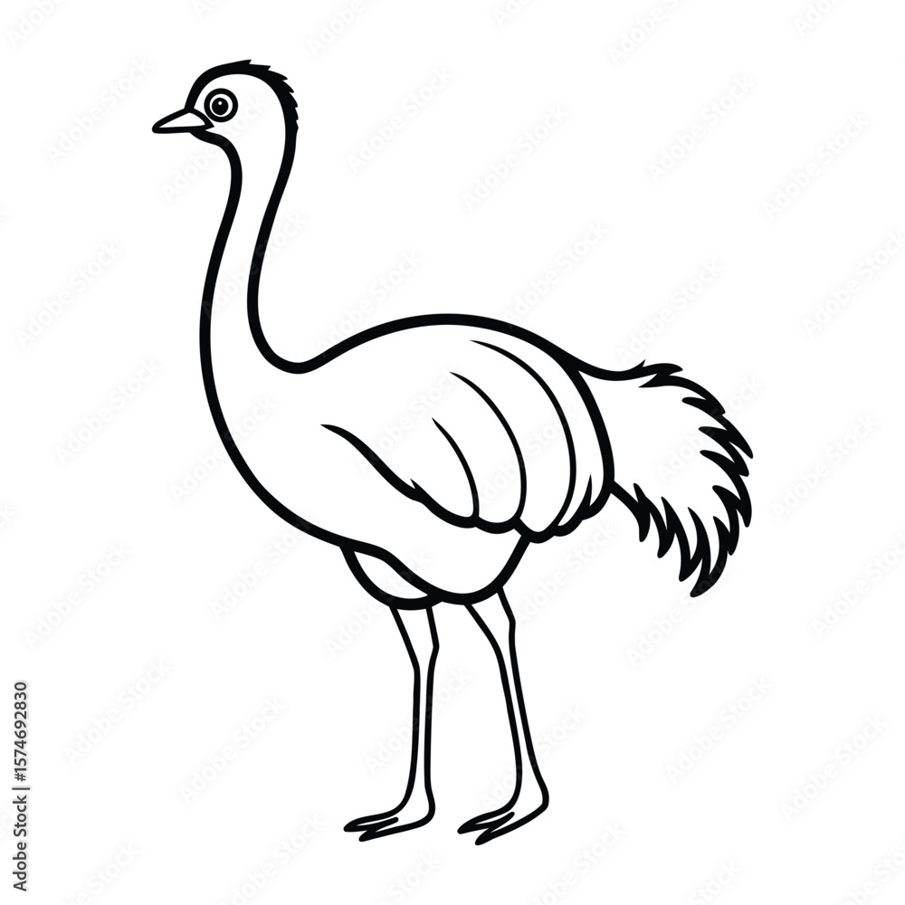 Fototapeta premium vector illustration of a bird