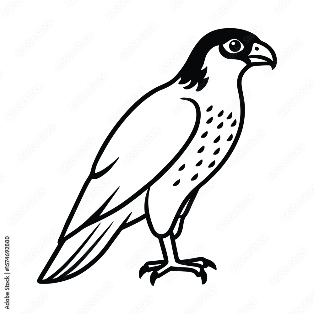 Fototapeta premium vector illustration of a bird