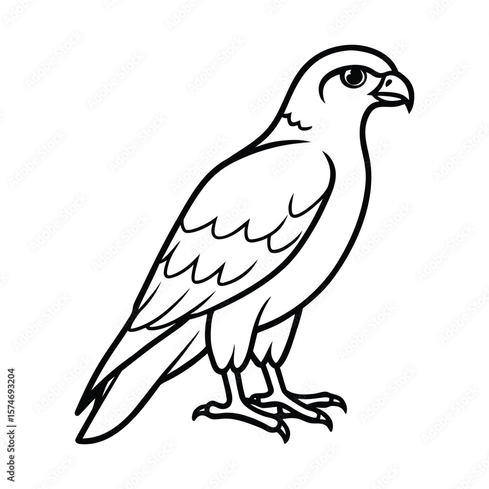 Fototapeta premium eagle isolated on white background