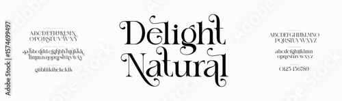Elegant logo alphabet letters font. Typography luxury classic lettering serif fonts decorative wedding vintage retro logos, design for fashion, beauty shop and brand. vector illustration
