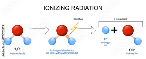 Free radicals and Direct ionization.  Hydrogen and  Hydroxyl ions.