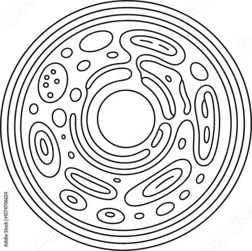 Detailed Diagram of a Cell's Structure, cellular structure, anatomy, cell, anatomy