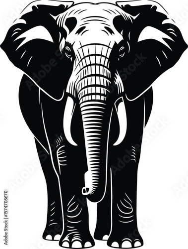 A black and white illustration of an elephant standing facing the viewer head on