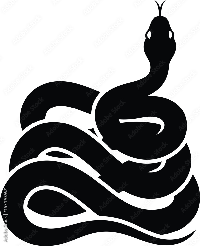 Fototapeta premium A coiled black snake with its tongue sticking out on a white background image