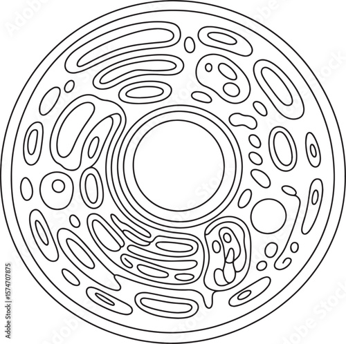Detailed Diagram of a Cell's Structure, cellular structure, anatomy, cell, anatomy