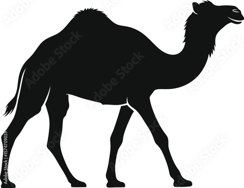 Silhouette of a camel walking with a single hump on a plain white background
