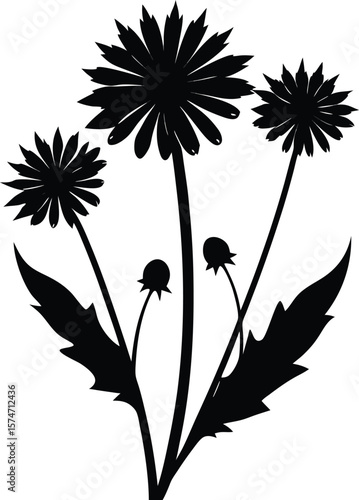 Wallpaper Mural black and white flowers Torontodigital.ca