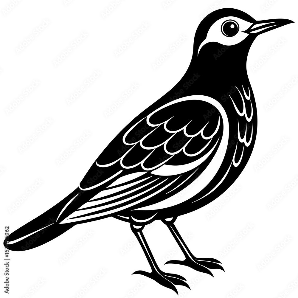 Fototapeta premium bird on a branch
