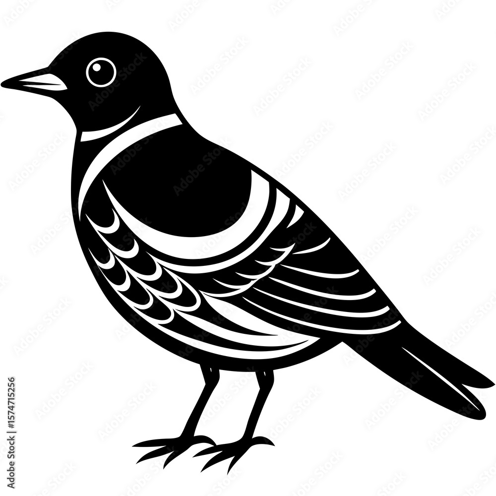 Fototapeta premium bird on a white background