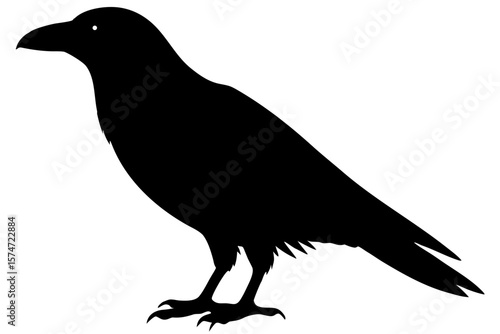 Standing crow black bird animal wildlife silhouette vector illustration