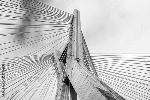 bridge over the river