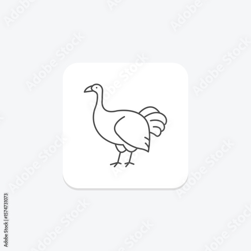 Brush Turkey, vector, pixel perfect, illustrator file