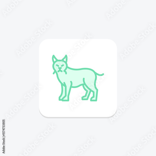 Lynx, vector, pixel perfect, illustrator file