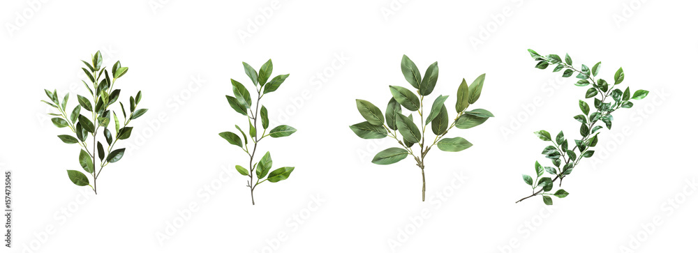 Botanical Array of Green Foliage Dark in Horizontal Composition transparent background Generative AI Botanical Array of Green Foliage Dark in Horizontal Composition transparent background Generative AI