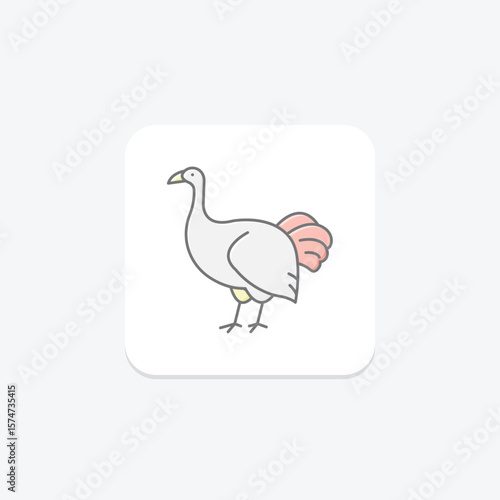 Brush Turkey, vector, pixel perfect, illustrator file
