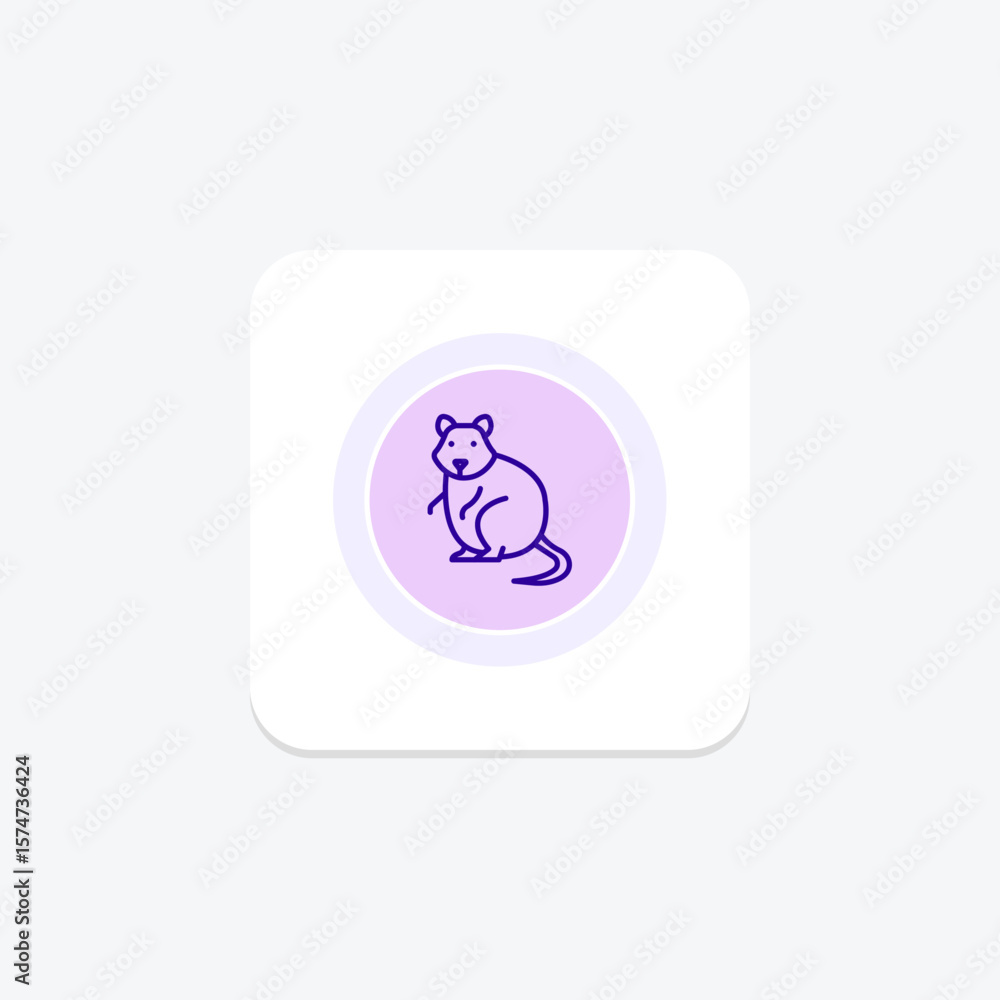 Fototapeta premium Quokka, vector, pixel perfect, illustrator file