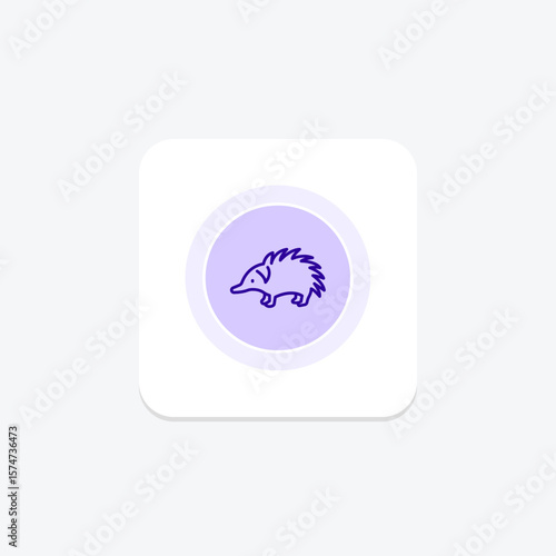 Echidna, vector, pixel perfect, illustrator file