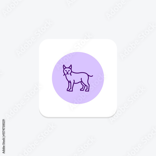 Lynx, vector, pixel perfect, illustrator file