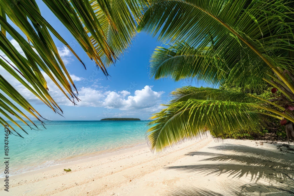 Fototapeta premium palm tree on the beach