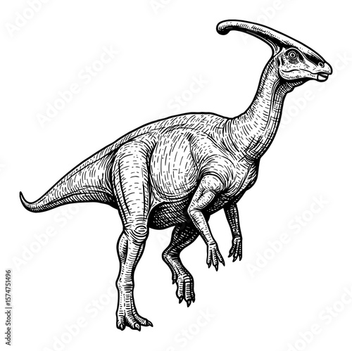 Parasaurolophus Full Body Shot Dinosaurs Black and White Outline Line Art Drawing Extinct Animal