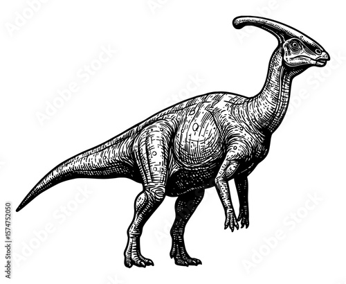 Ancient Parasaurolophus Full Body Shot Black and White Outline Line Art Drawing Dinosaur Illustration Vintage